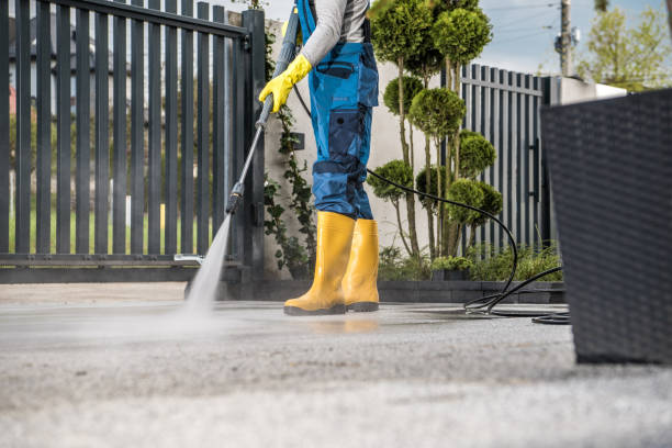 Roof Power Washing Services in Mesa, AZ