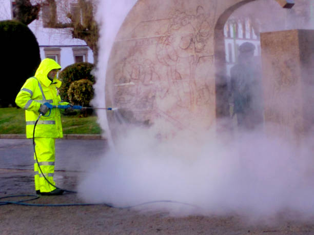Best Local Pressure Washing Services  in Mesa, AZ