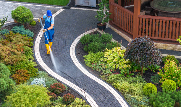Best Roof Pressure Washing  in Mesa, AZ